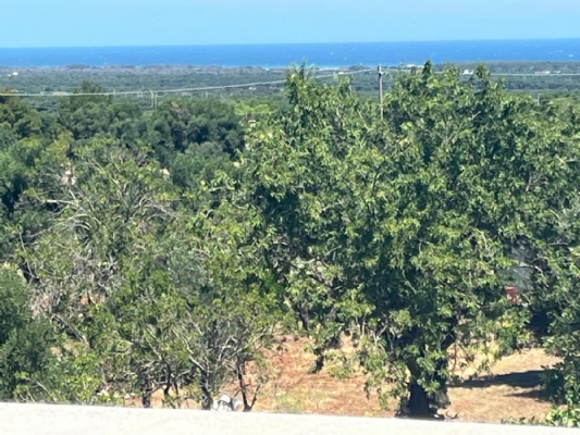 (Cod. Immobile: VE-vil-ff) - Tipologia: Casa a Ostuni (Brindisi) Puglia