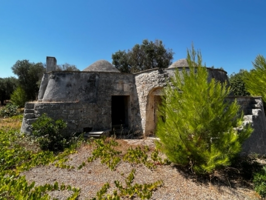 (Cod. Immobile: VE-TRU-FEL) - Tipologia: Trullo a Carovigno (Brindisi) Puglia